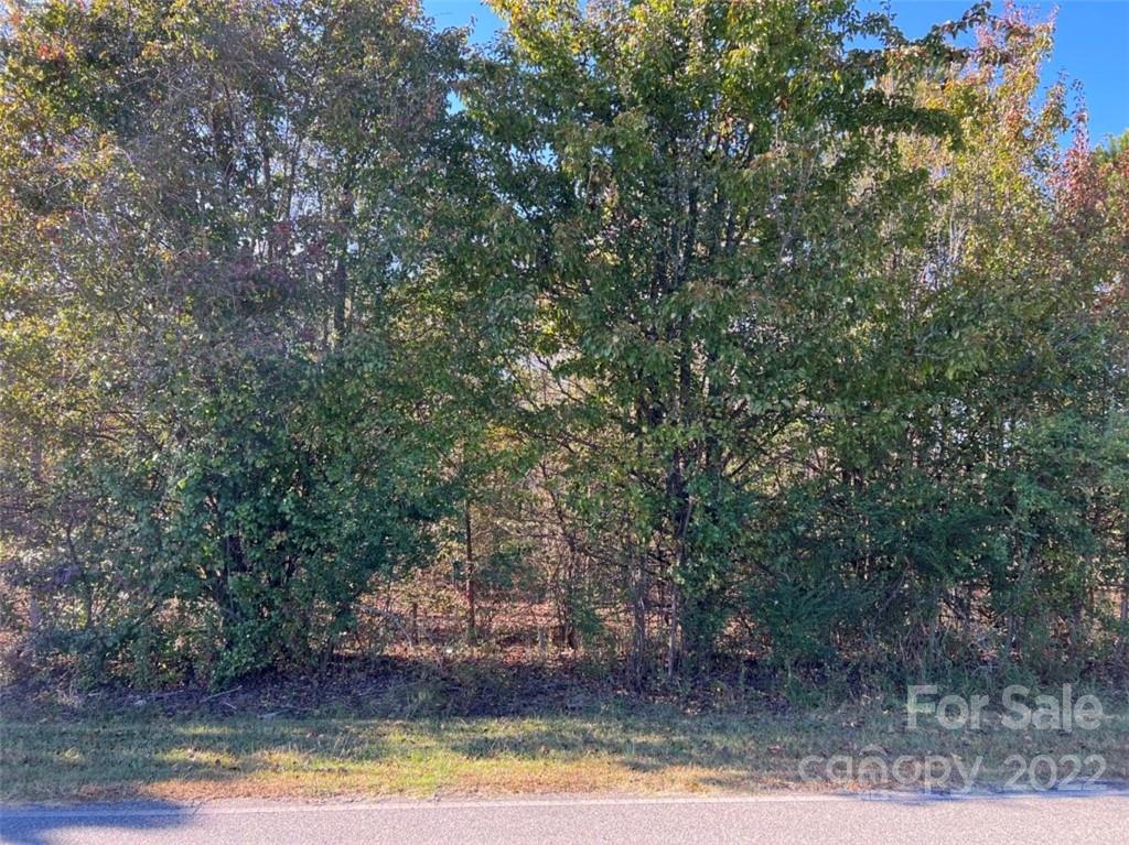 0 Nolan Road, Unit 115 Lawndale, NC 28090 - Photo 10 of 10 Gallery Image 10