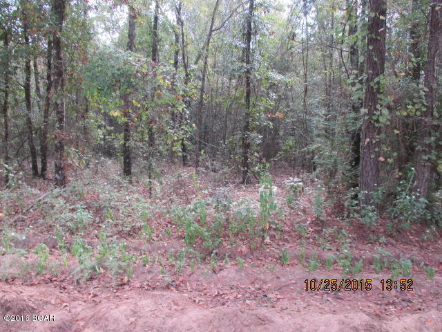 0 Birchwood Road Grand Ridge, FL 32442 - Photo 5 of 6 Gallery Image 5
