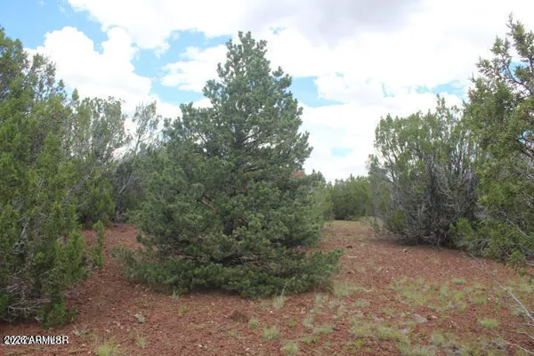 a view of a dirt road with a building