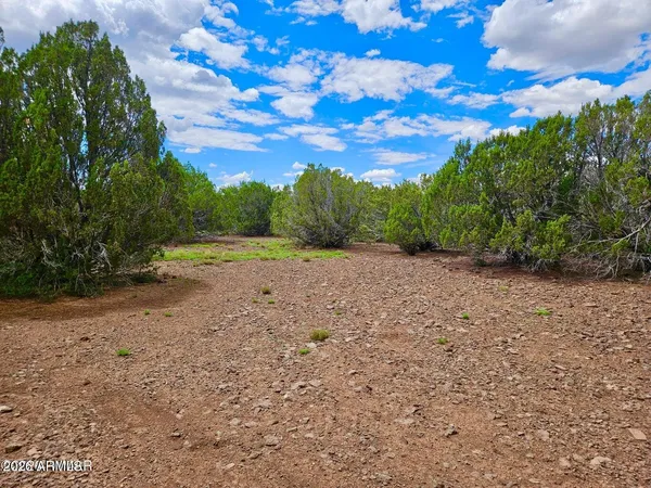 $24,900 | 29 Co Road, Show Low, AZ 85901