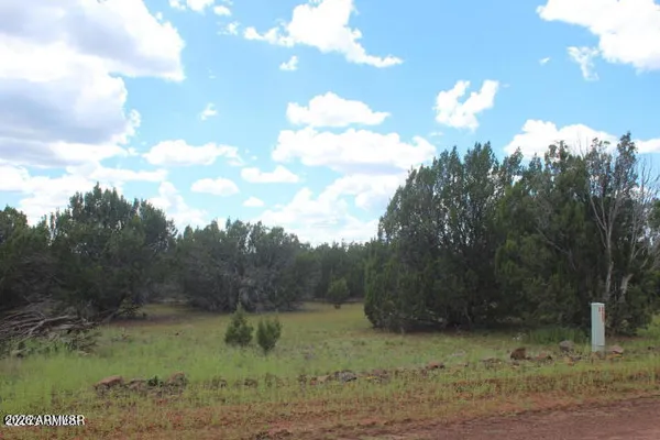 $24,900 | 29 Co Road, Show Low, AZ 85901