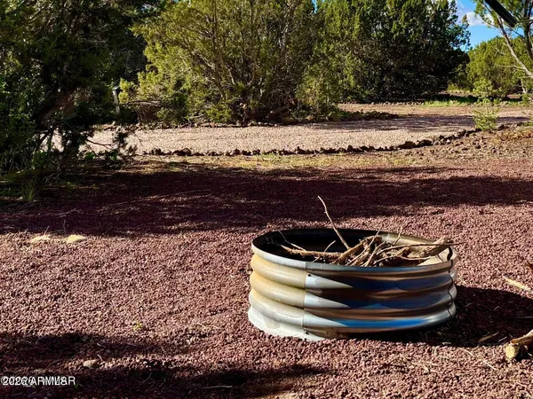 a view of a bunch of trees in it