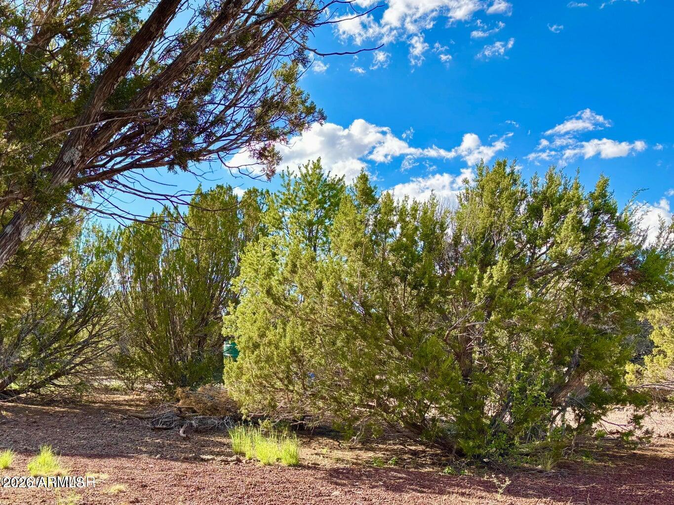 29 Co Road Show Low, AZ 85901 - Photo 7 of 17 20260206085302855675000000-o
