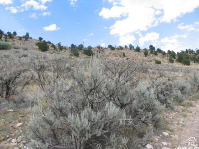 700 Spring Canyon Road Helper, UT 84526 - Photo 6 of 19 Natural hillside property featuring a mix of mature sagebrush, scattered evergreens, and rocky terrain