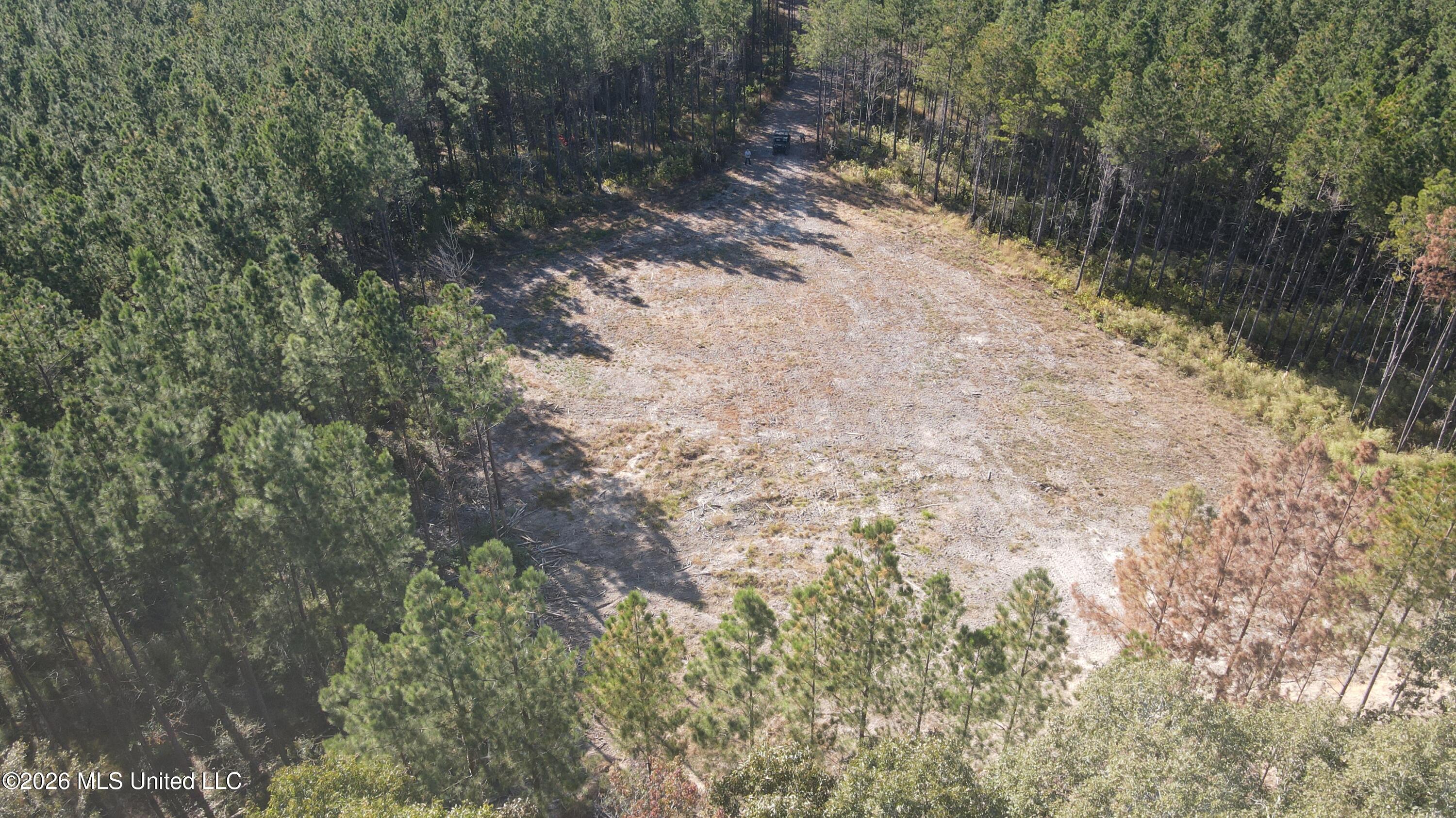 Loyd Irby Road Pelahatchie, MS 39145 - Photo 4 of 30 DJI_0236