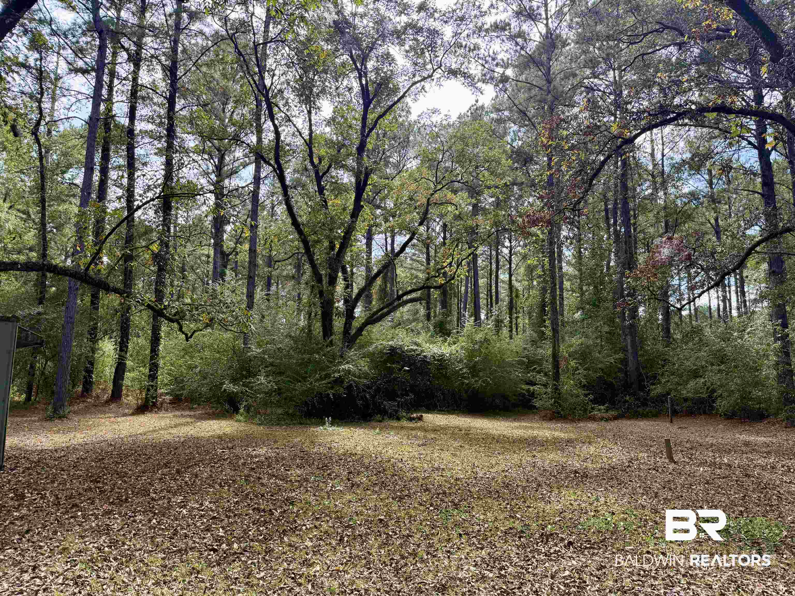 826 West Side Road Castleberry, AL 36432 - Photo 16 of 34 View of yard