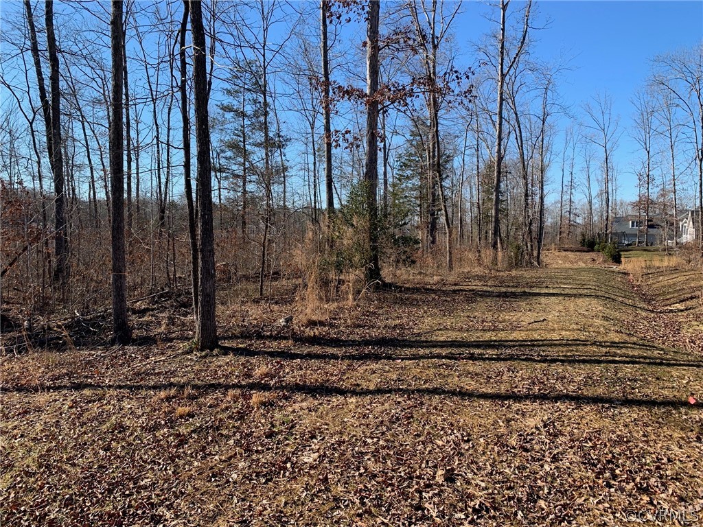 16206 Fleetwood Road Midlothian, VA 23112 - Photo 6 of 22 Gallery Image 6