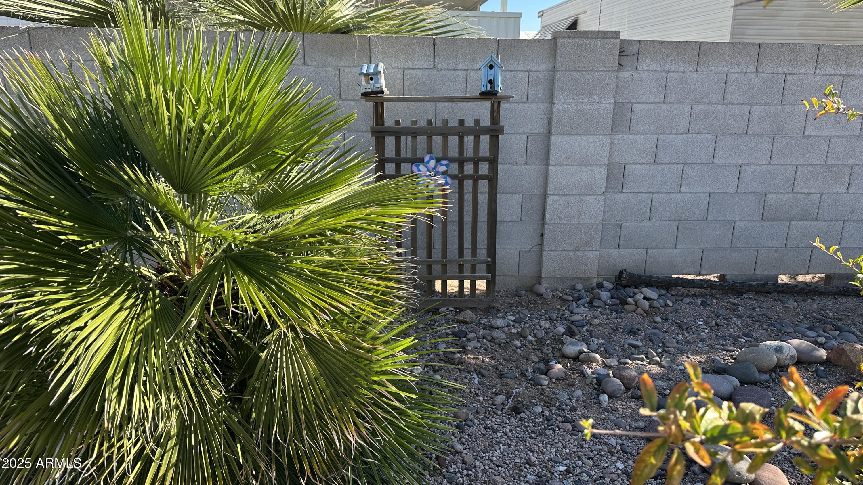 834 South Meridian Road, Unit 105 Apache Junction, AZ 85120 - Photo 45 of 48 a view of a plant in a garden