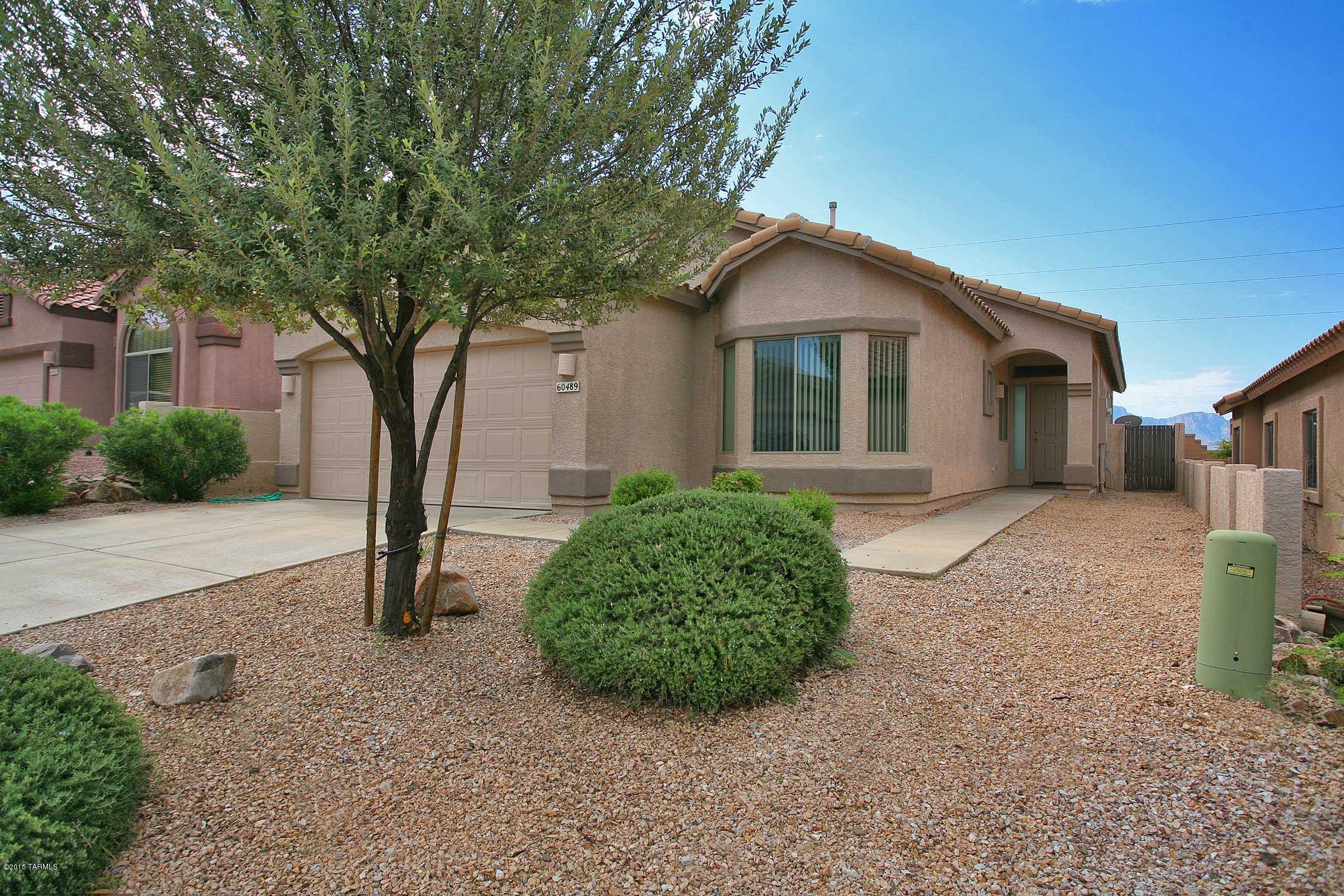 60489 East Black Crest Loop Tucson, AZ 85739 - Photo 2 of 29