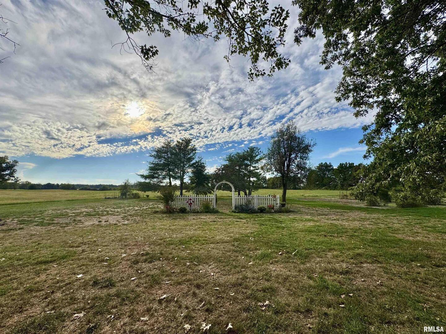 9879 Steel City Road Benton, IL 62812 - Photo 8 of 60 a view of a field with an trees