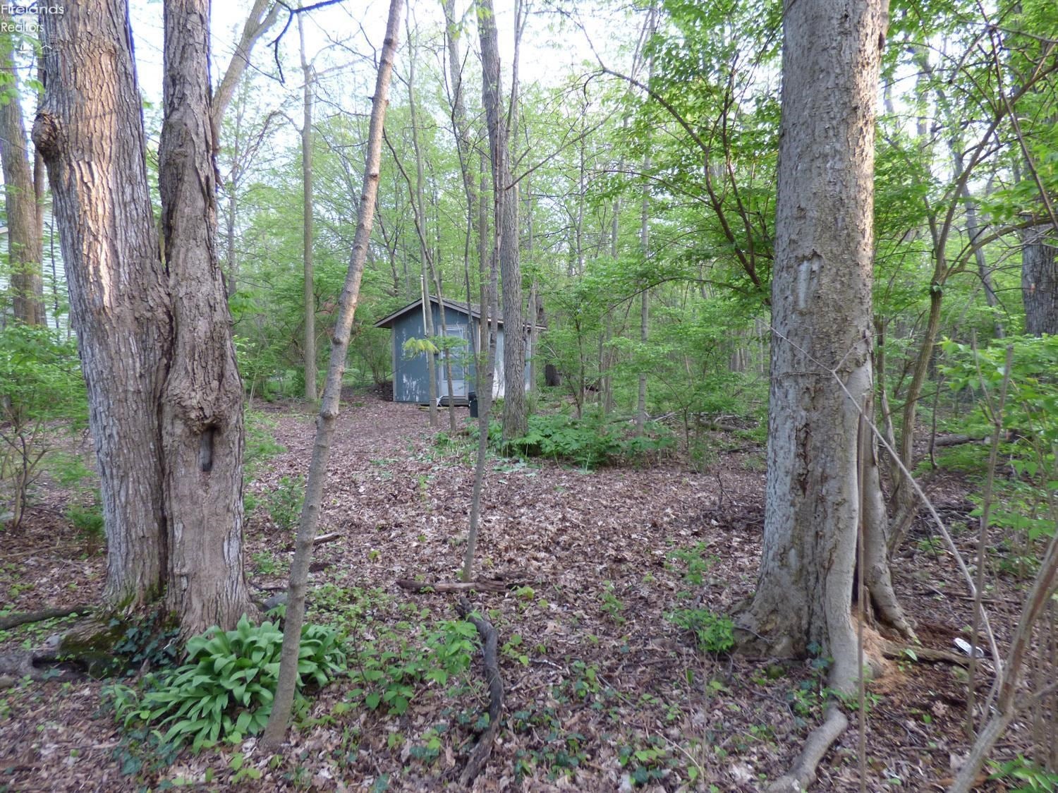 820 Evelyn Road Put In Bay, OH 43456 - Photo 1 of 10 Gallery Image 1