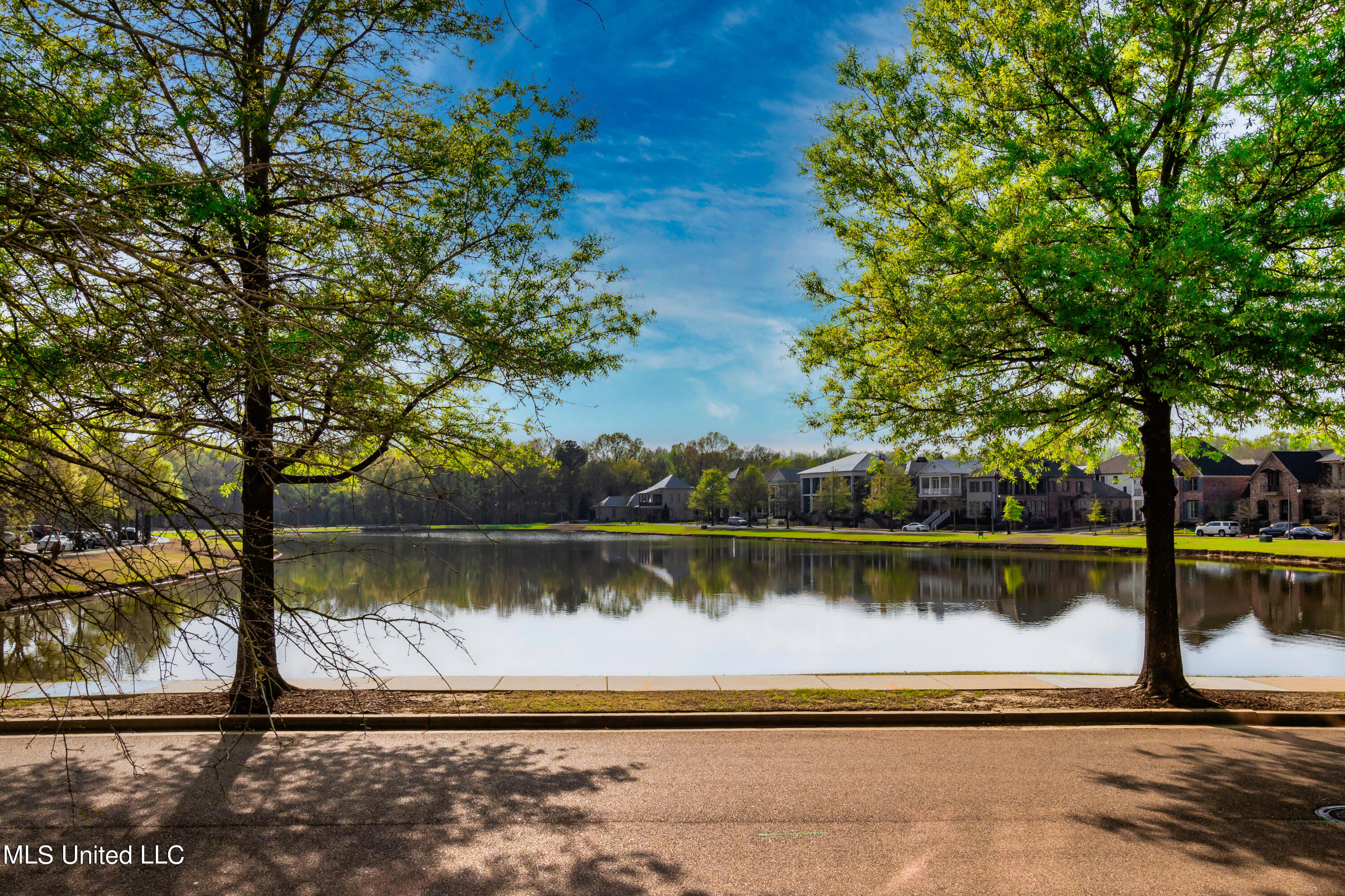 210 Eastpark Street Ridgeland, MS 39157 - Photo 28 of 30 P3070143-Edit