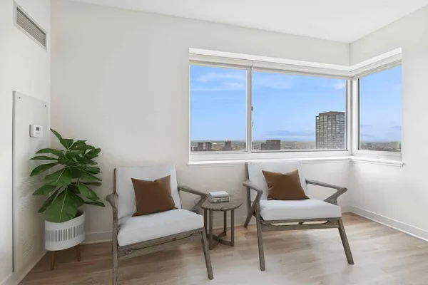 a living room with a couch and a potted plant
