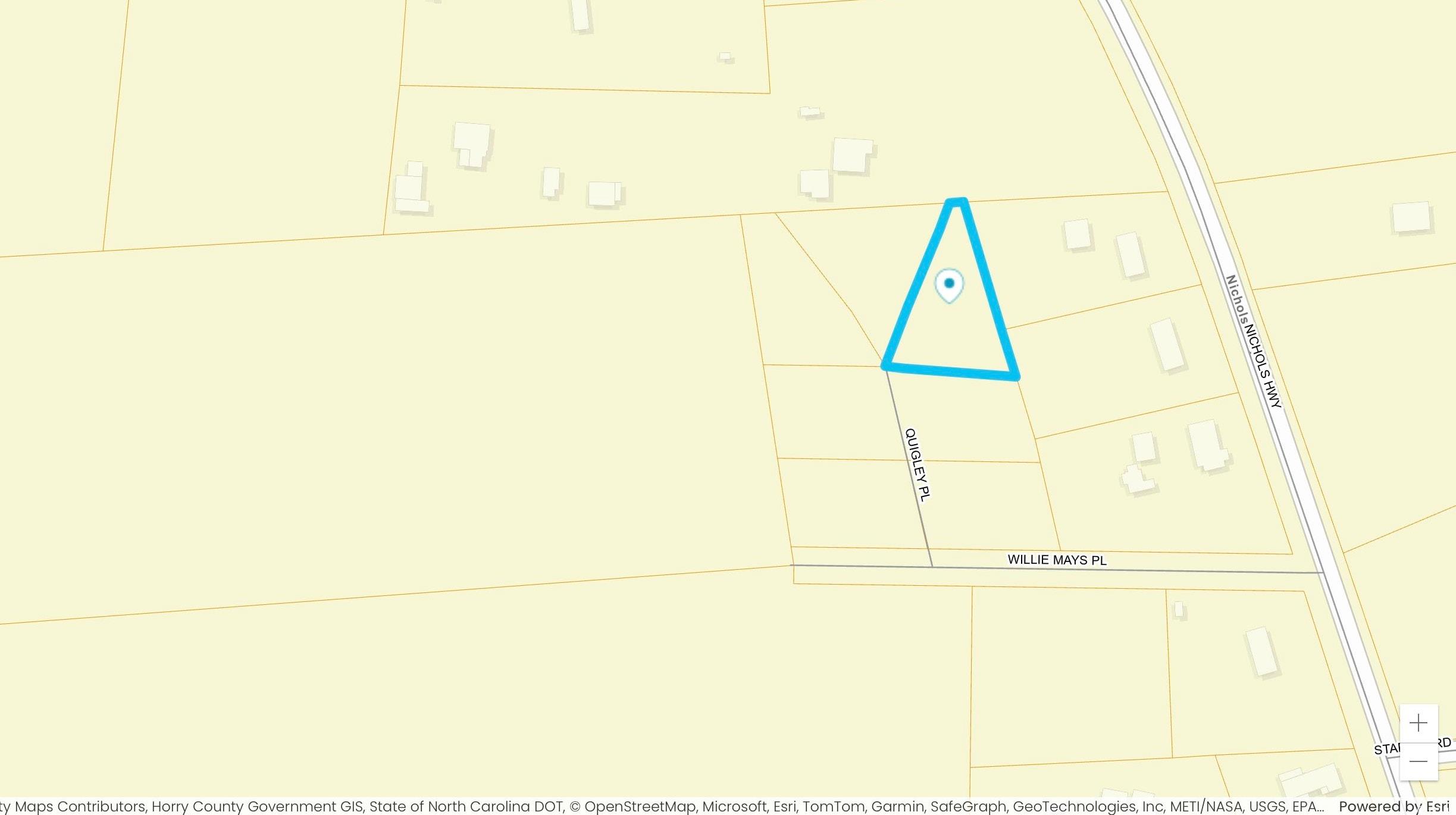 112 Quigley Place Aynor, SC 29544 - Photo 4 of 4