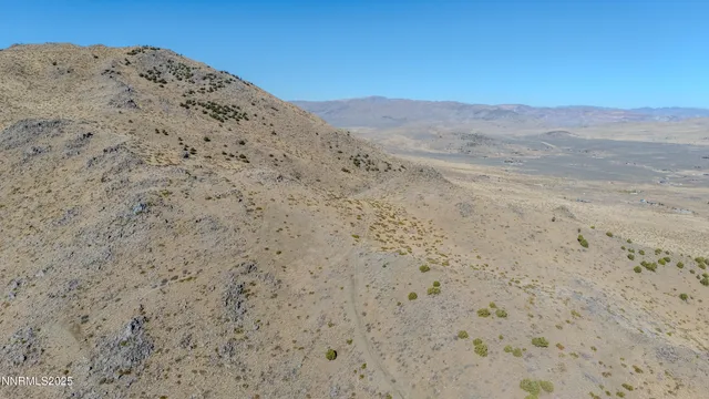 a view of a dry yard