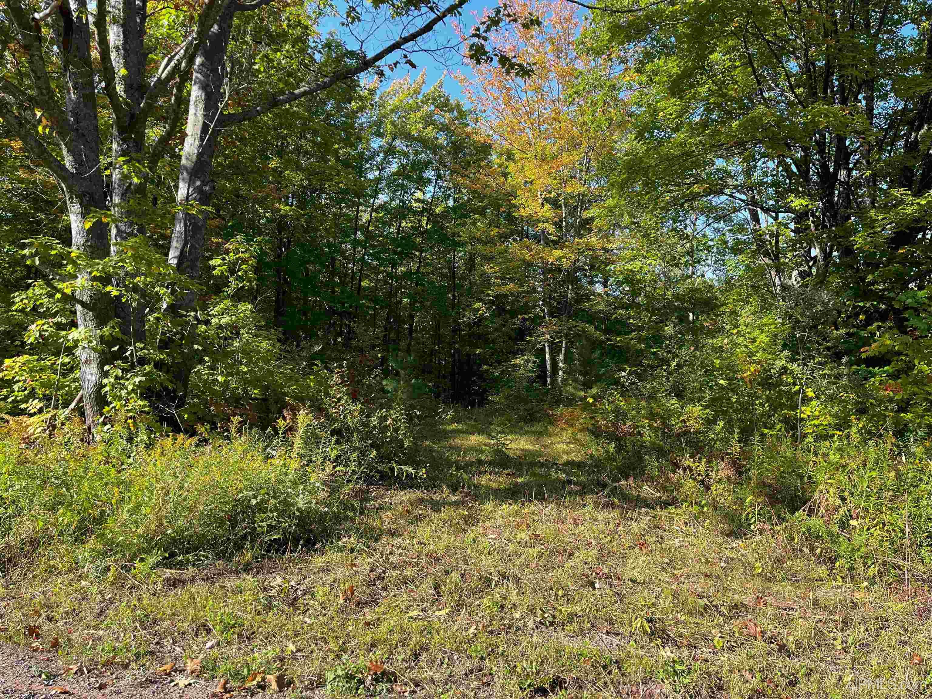 Tbda Worham Road Chassell, MI 49916 - Photo 8 of 28