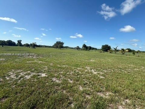 1250 Homestead Avenue Clewiston, FL 33440 - Photo 23 of 32 a view of a lake