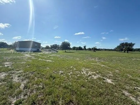 a view of a big yard with a tree