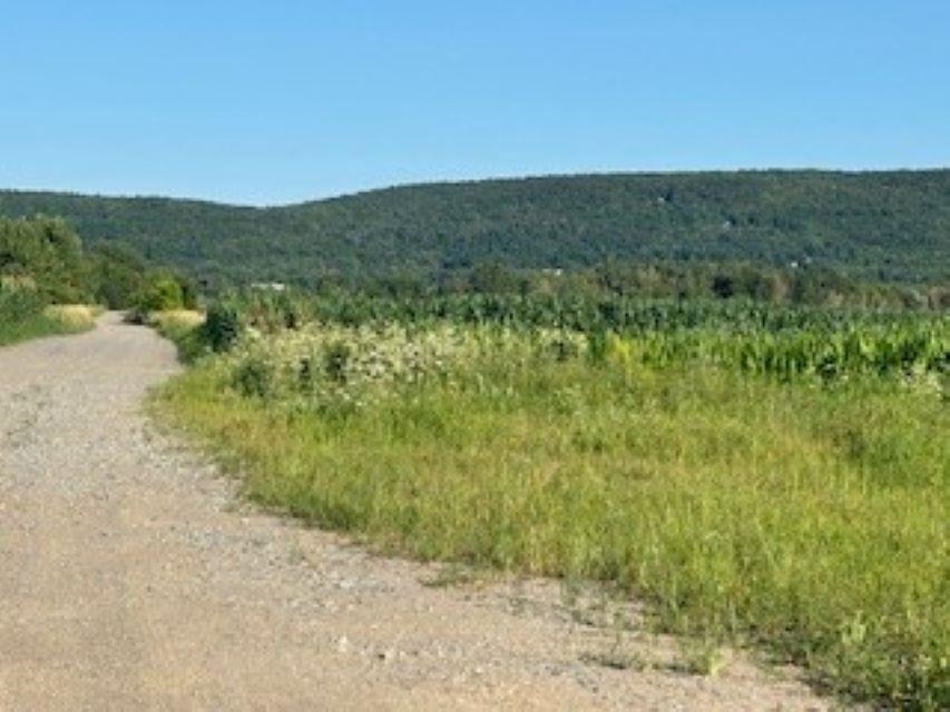 2621 Highgate Road Swanton, VT 05478 - Photo 9 of 42