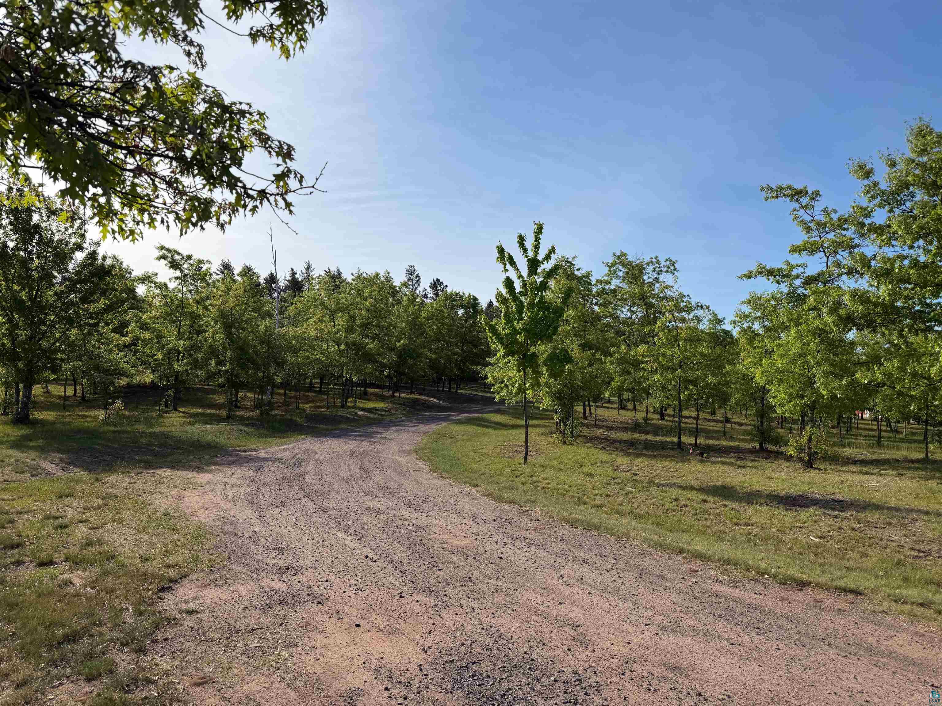 11702 East Mail Road Gordon, WI 54838 - Photo 8 of 60 Gravel path through a wooded expanse, featuring mature trees and verdant undergrowth