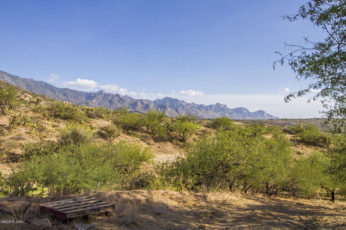 5920 East Edwin Road Tucson, AZ 85739 - Photo 15 of 46 Gallery Image 15