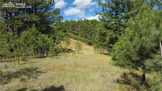 1001 Spruce Road Larkspur, CO 80118 - Photo 4 of 9 Gallery Image 4