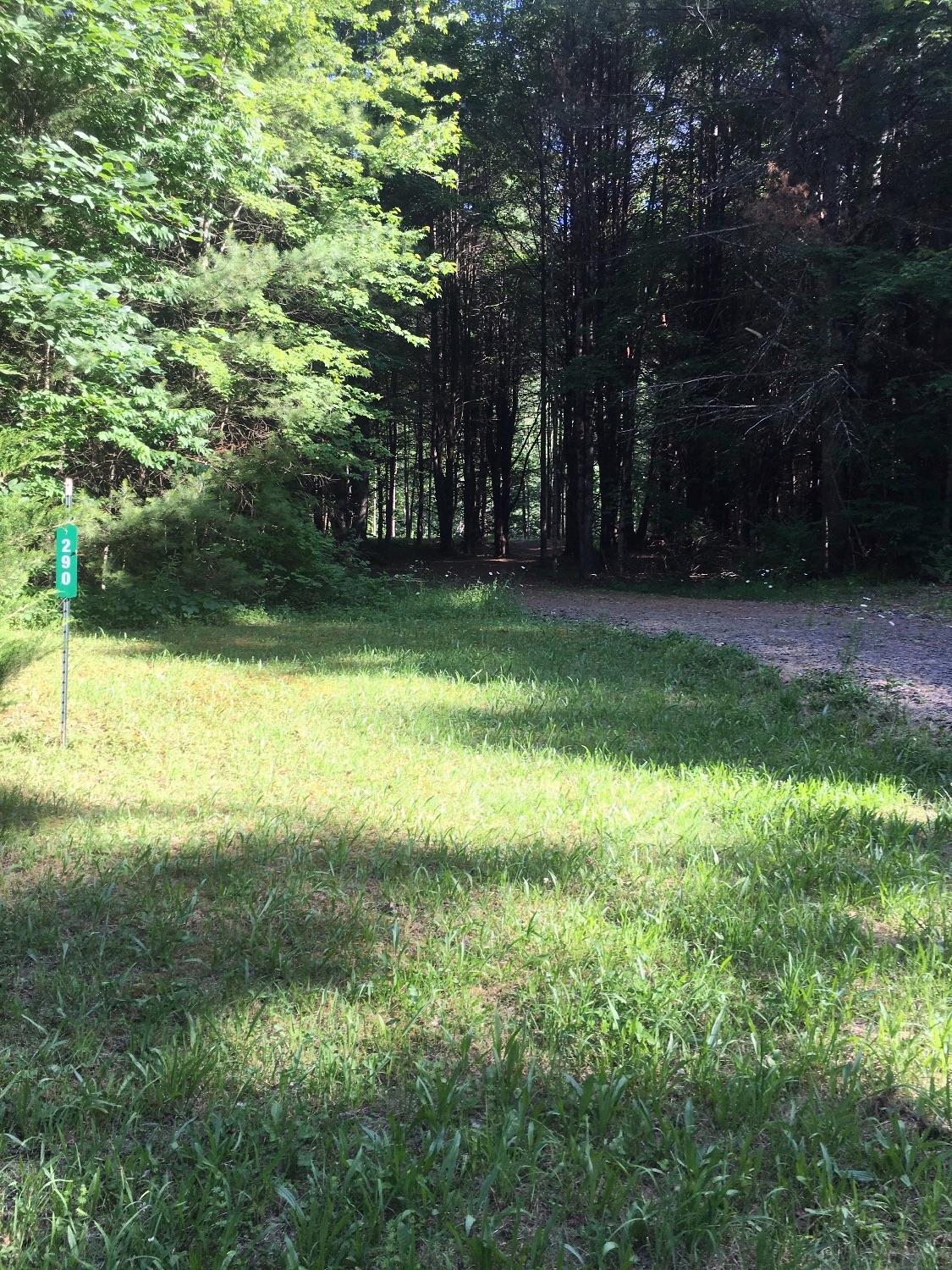 290 Bob Wilson Road Oneonta, NY 13820 - Photo 1 of 1 Gallery Image 1