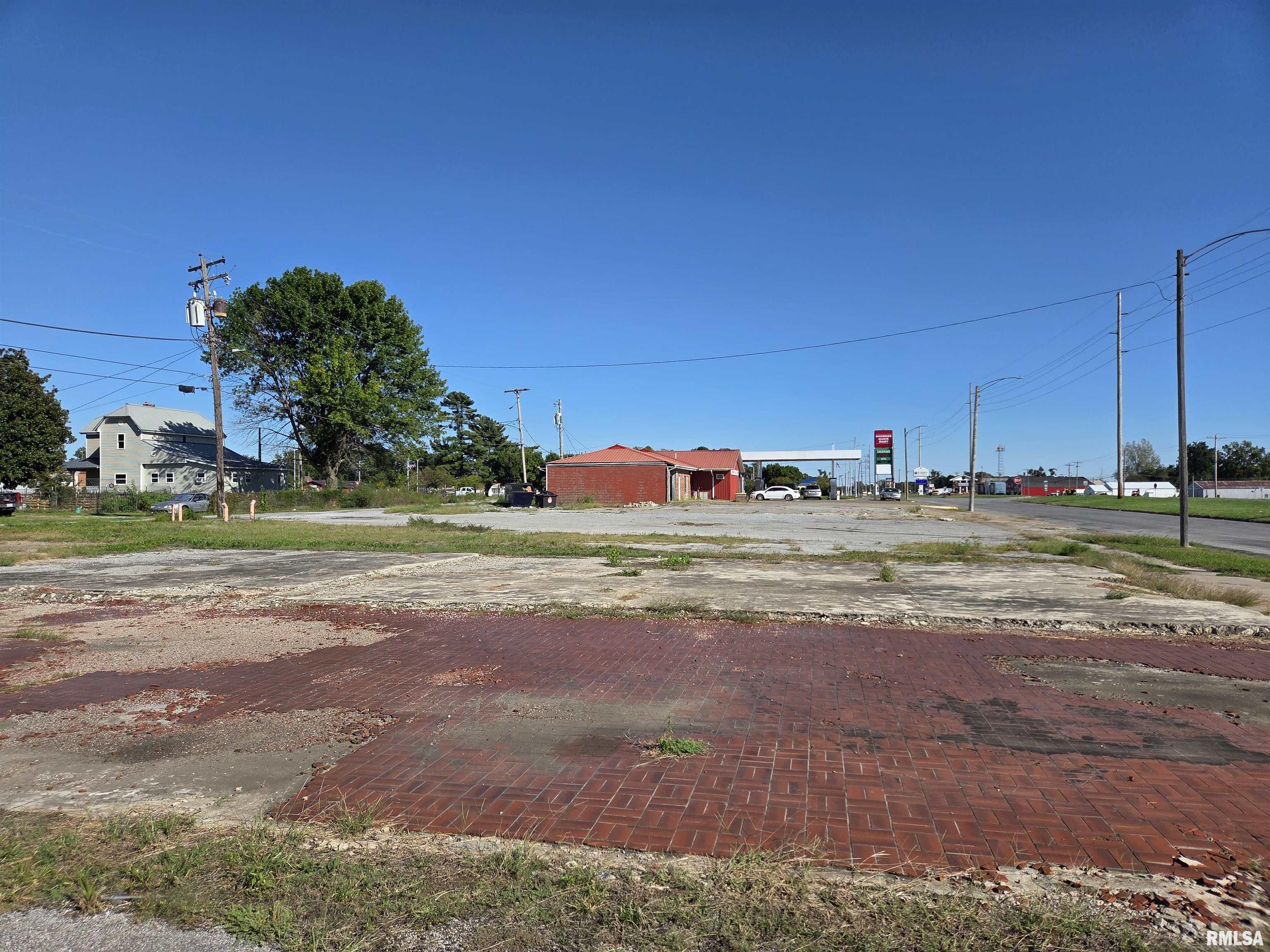 133 West Shawnee Avenue Shawneetown, IL 62984 - Photo 2 of 3