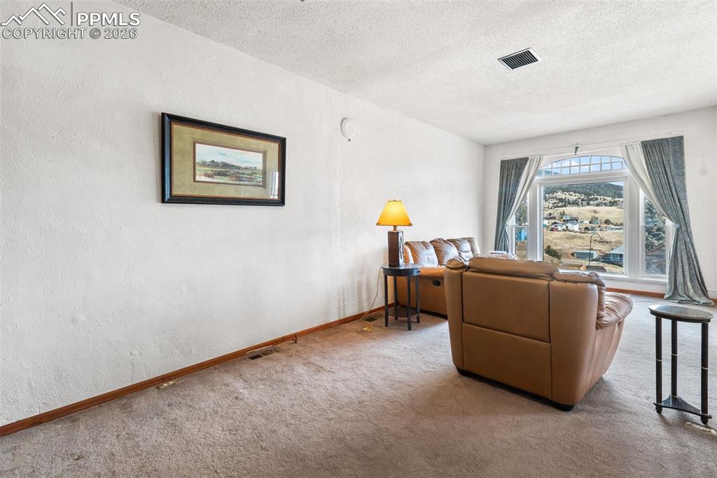 325 South 4th Street Victor, CO 80860 - Photo 8 of 49