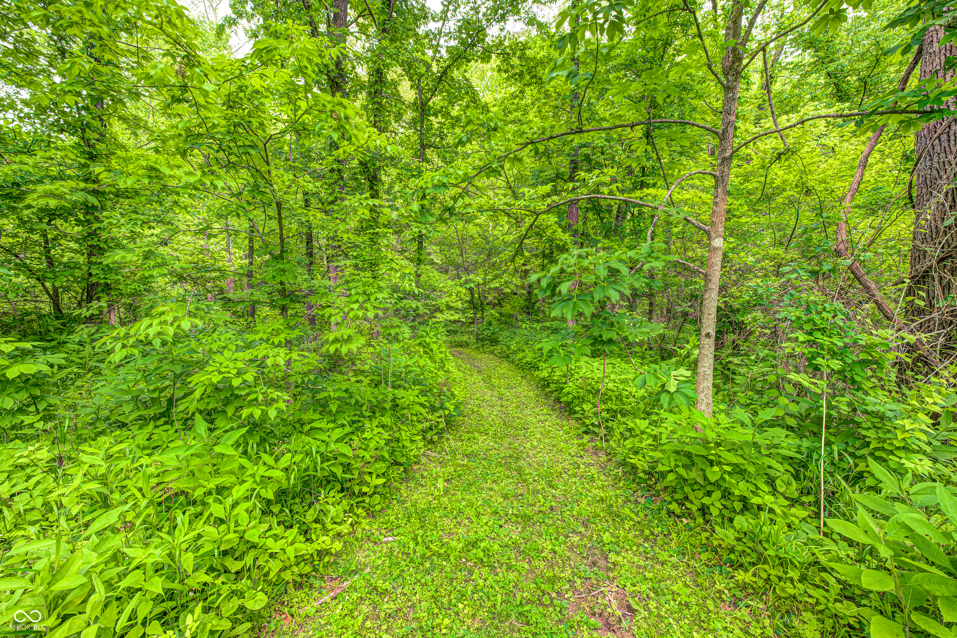 1691 Country Club Road Nashville, IN 47448 - Photo 45 of 57