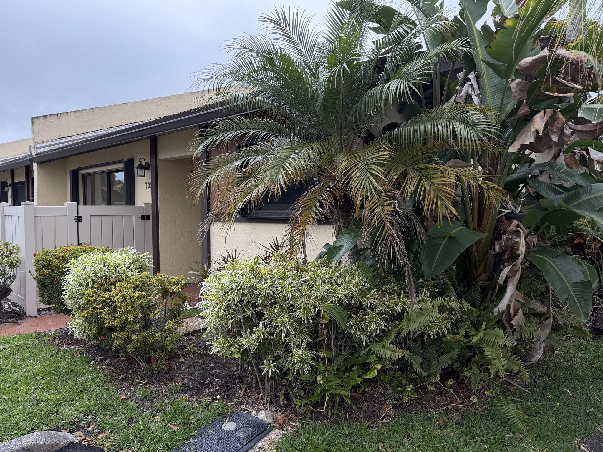 705 Banks Road Margate, FL 33063 - Photo 42 of 44 a view of a house with a plants