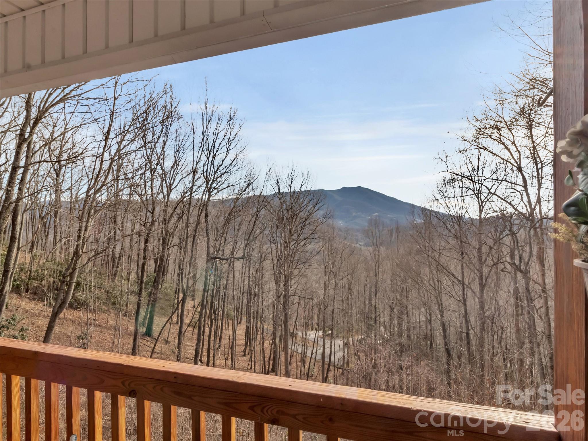 371 Falcon Ridge Drive Waynesville, NC 28786 - Photo 4 of 48