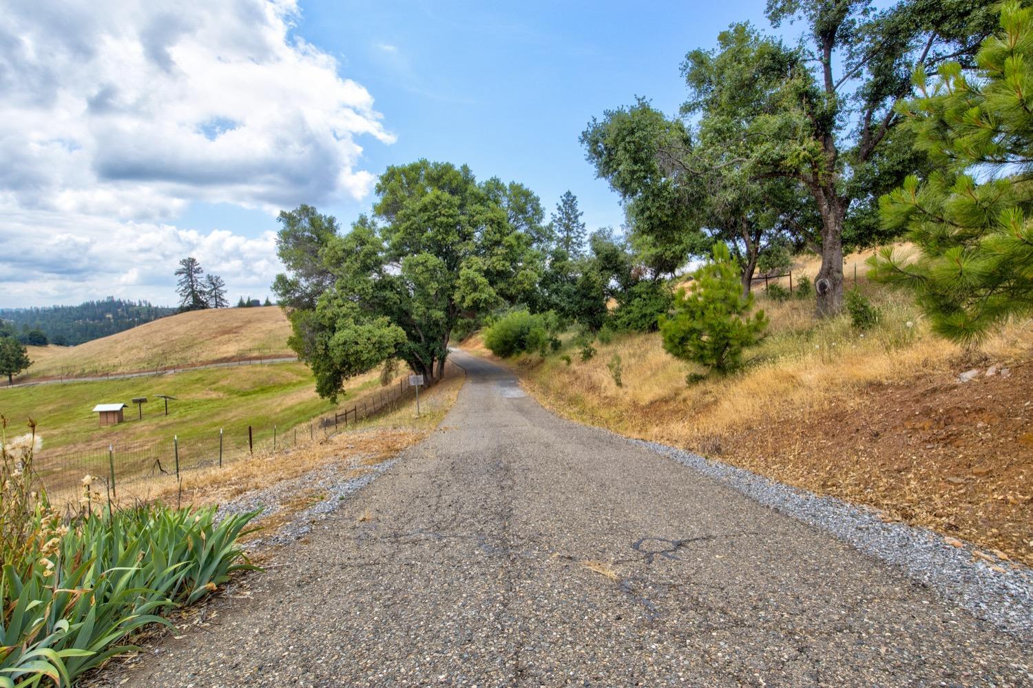 7279 Mountain Ranch Road Mountain Ranch, CA 95246 - Photo 11 of 69 a view of a yard with plants