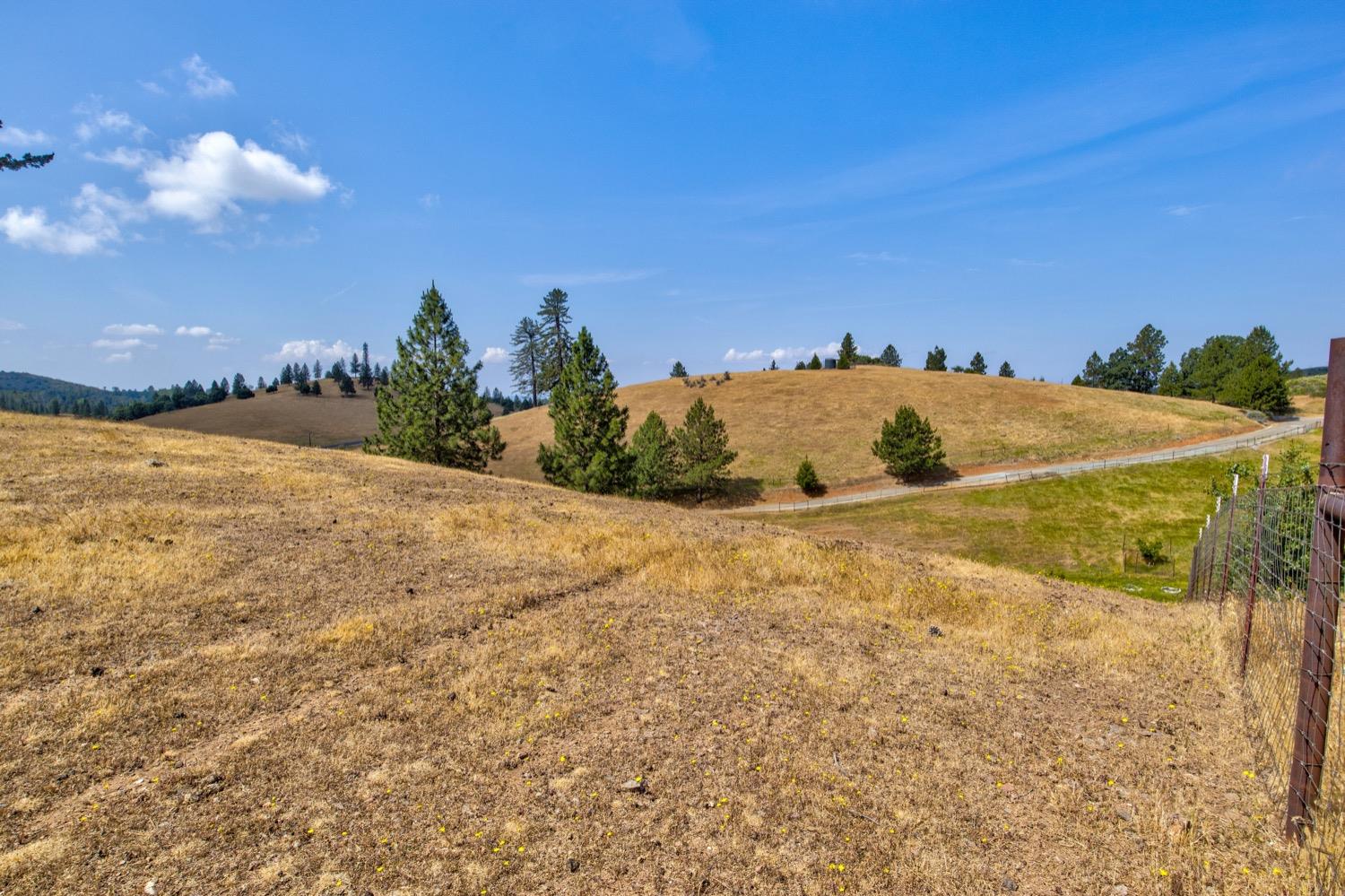 7279 Mountain Ranch Road Mountain Ranch, CA 95246 - Photo 44 of 69