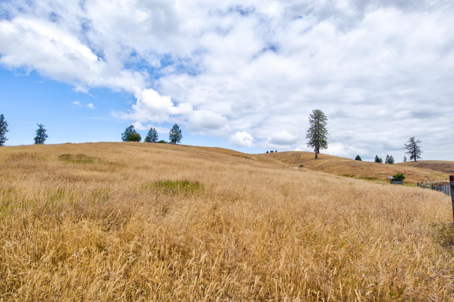 7279 Mountain Ranch Road Mountain Ranch, CA 95246 - Photo 6 of 69