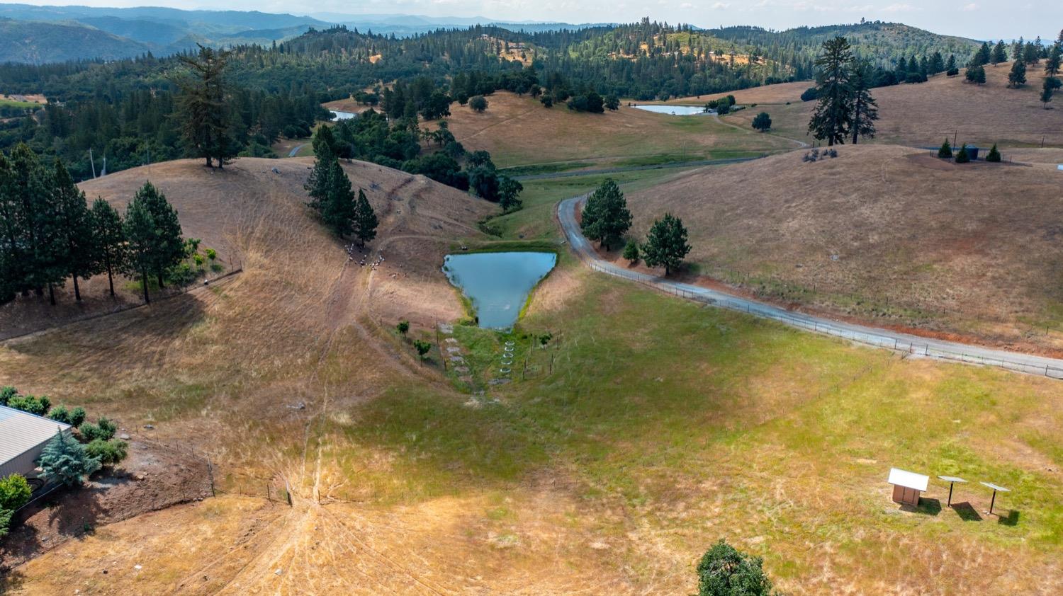 7279 Mountain Ranch Road Mountain Ranch, CA 95246 - Photo 64 of 69 a view of a street with an outdoor space