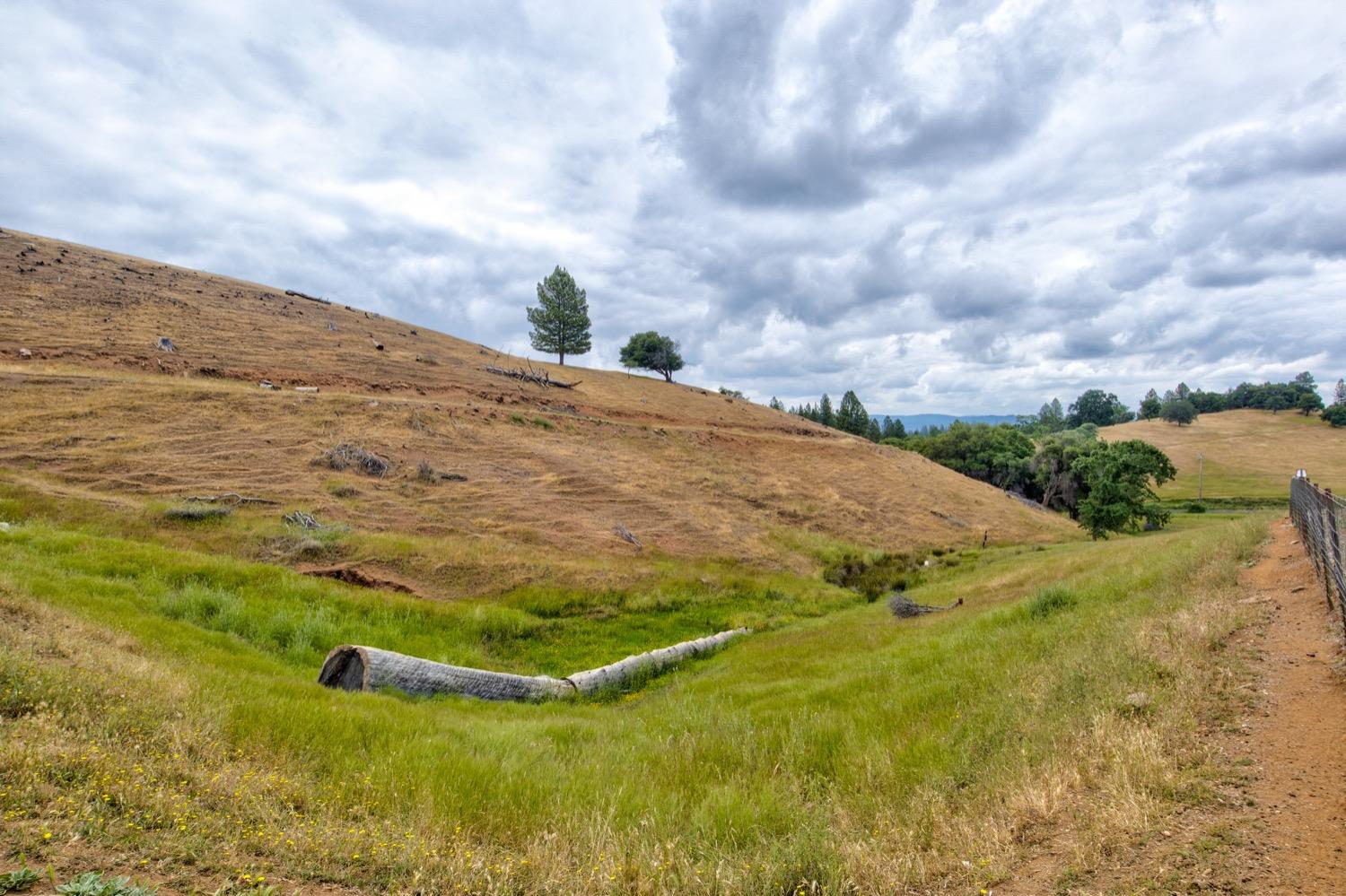 7279 Mountain Ranch Road Mountain Ranch, CA 95246 - Photo 9 of 69 a view of a big yard with lots of trees