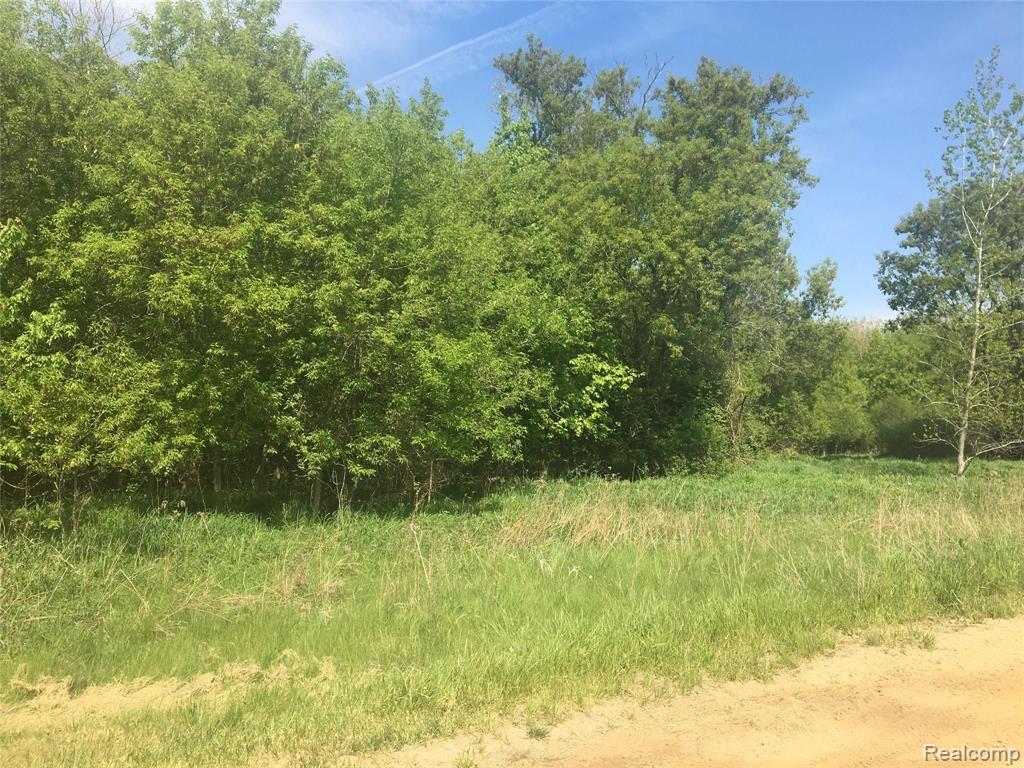Parcel A Rule Road Imlay City, MI 48444 - Photo 2 of 2