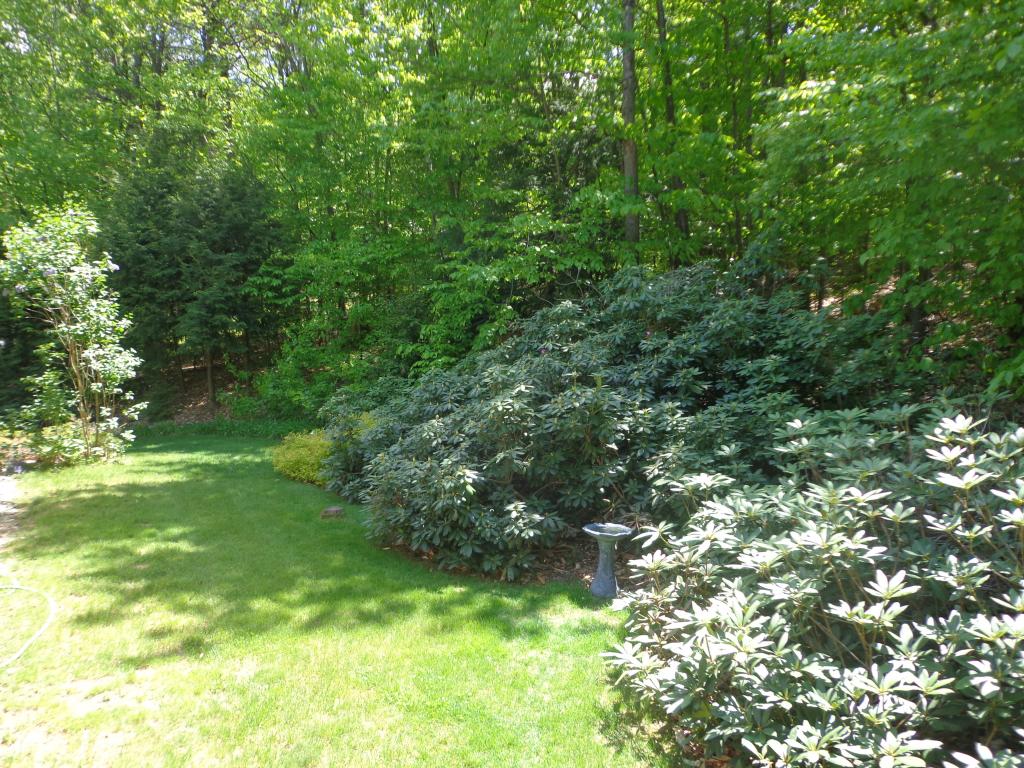 42 Clement Road Bow, NH 03304 - Photo 8 of 29