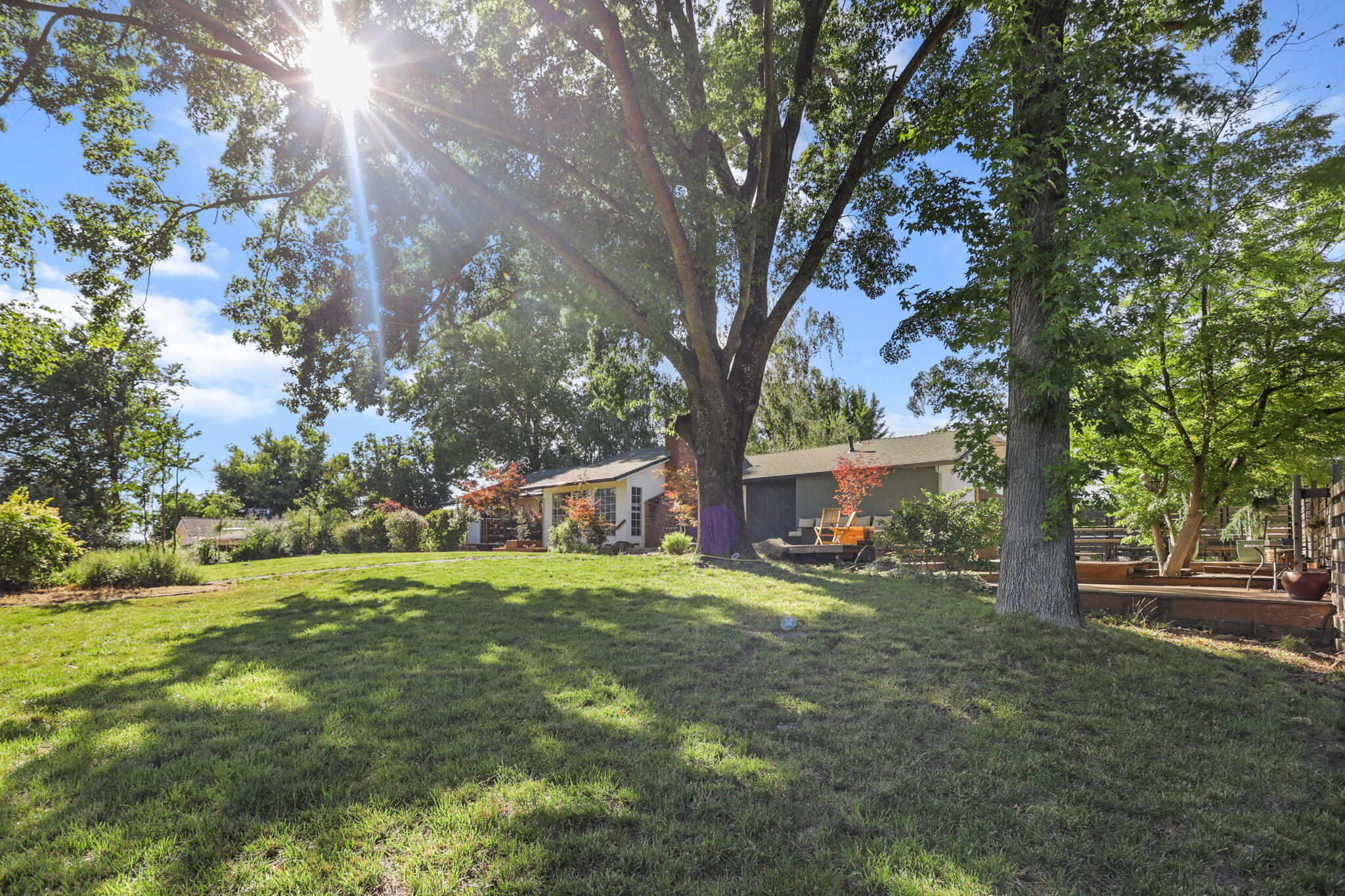 3776 Gover Road Anderson, CA 96007 - Photo 174 of 262 182-web-or-mls-8Q0A5591