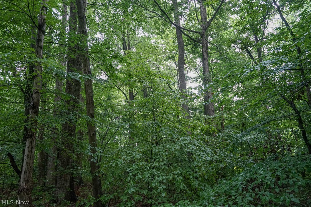 Duncanson Road Sardinia, OH 45171 - Photo 45 of 50 Gallery Image 45
