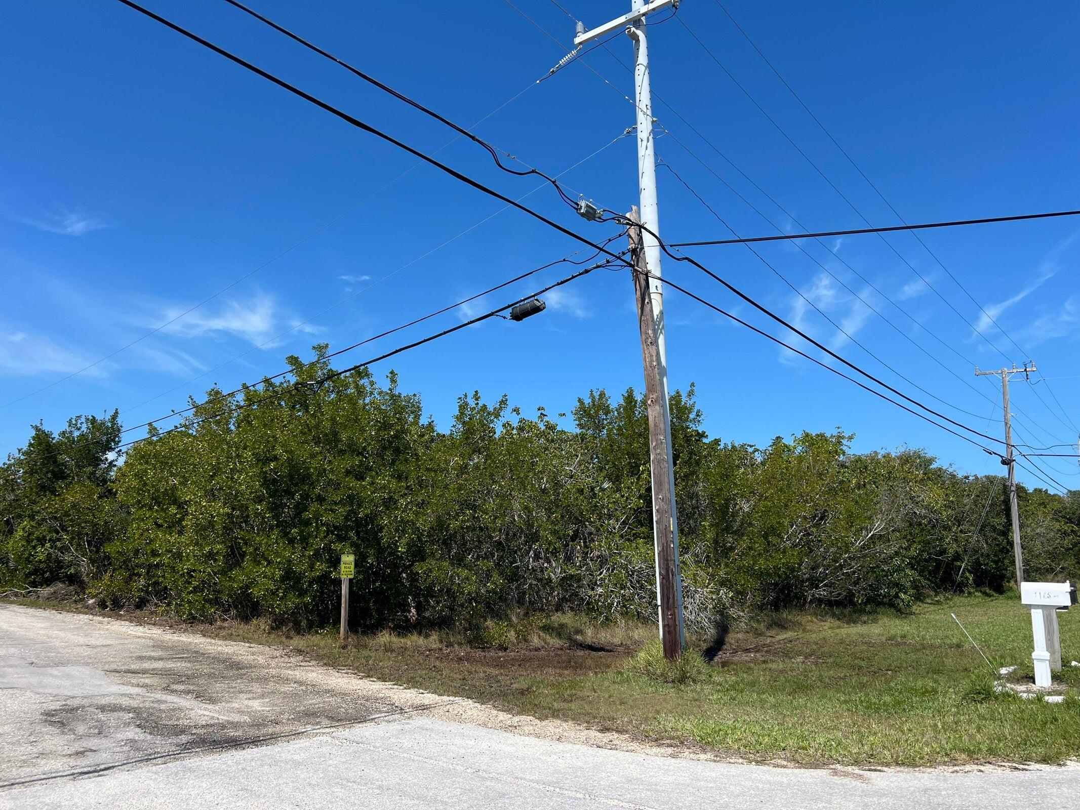 Lot 15-bk2 Bad George Road Sugarloaf, FL 33042 - Photo 4 of 7 a view of a street