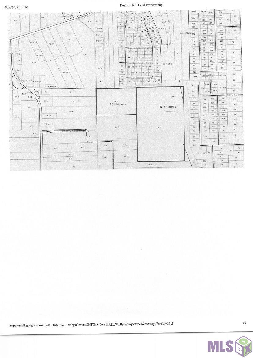 14062 Denham Road Central, LA 70770 - Photo 4 of 4