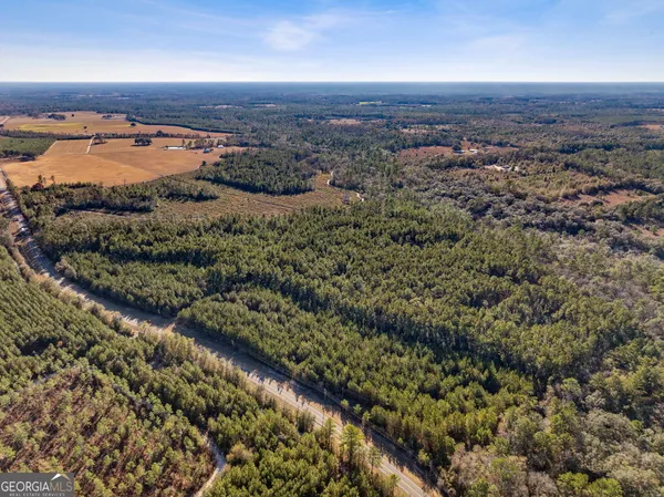 $425,000 | 0 State Road 185, St. George, GA 31562