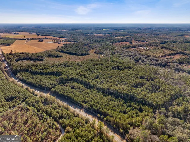 $450,000 | 0 State Road 185, St. George, GA 31562