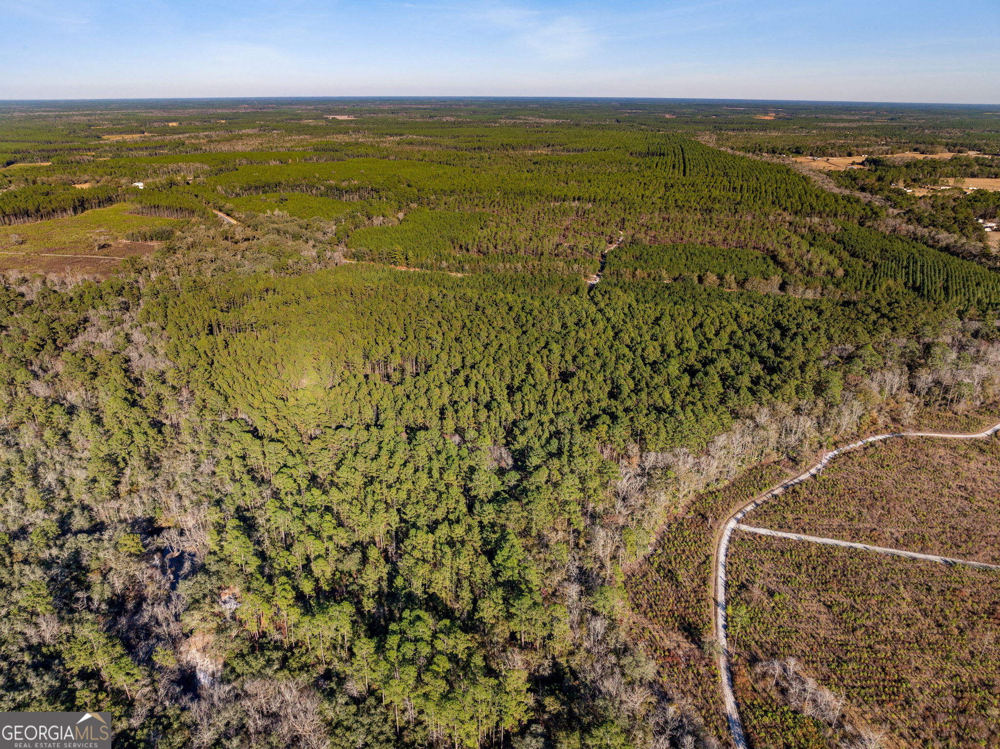 0 State Road 185 St. George, GA 31562 - Photo 11 of 62