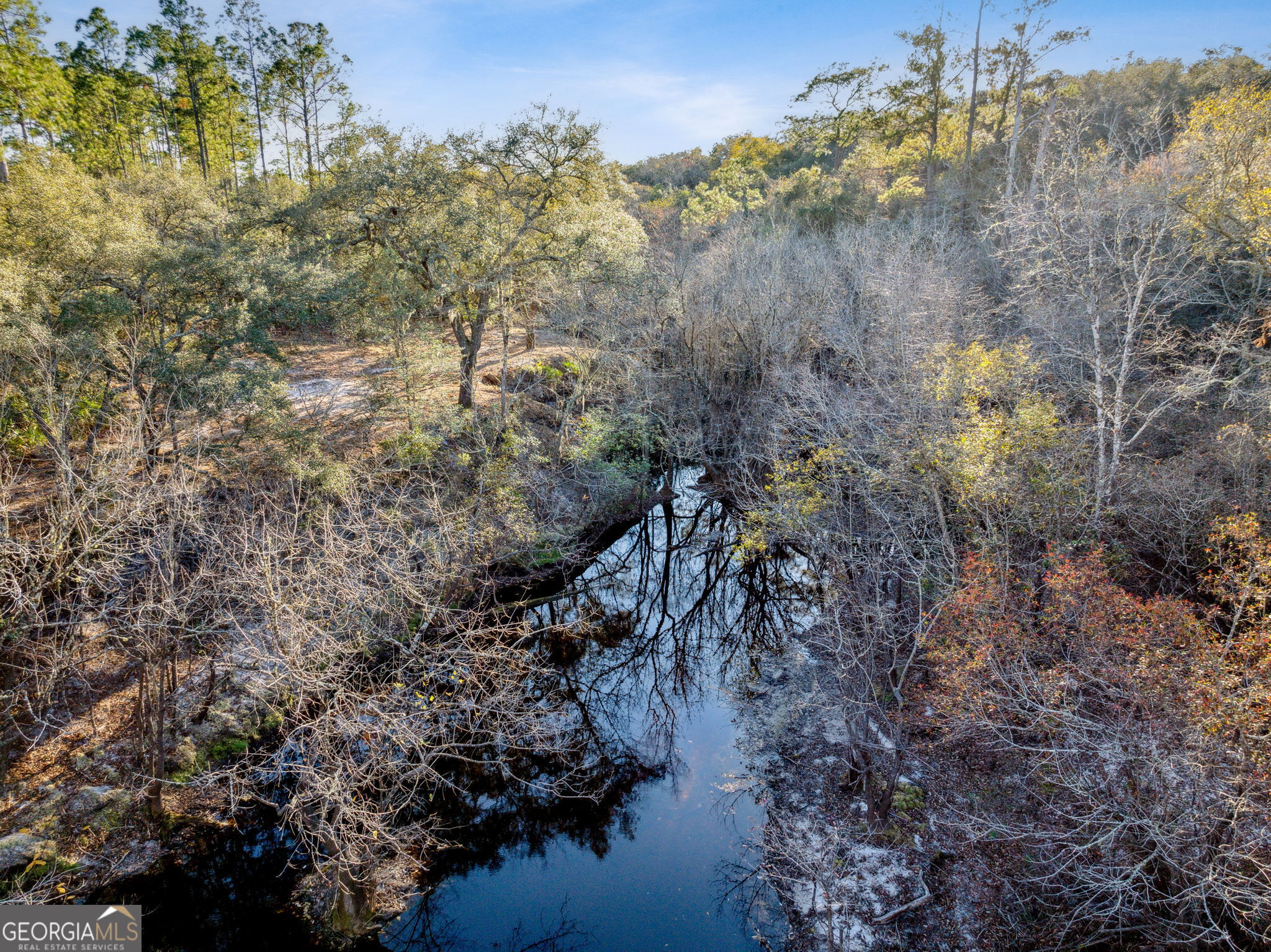 0 State Road 185 St. George, GA 31562 - Photo 12 of 62