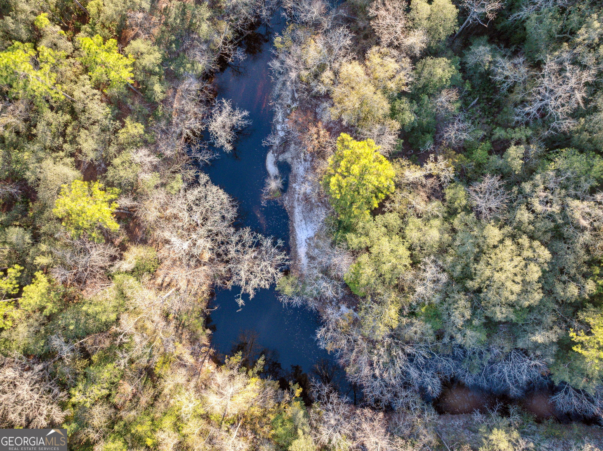 0 State Road 185 St. George, GA 31562 - Photo 13 of 62