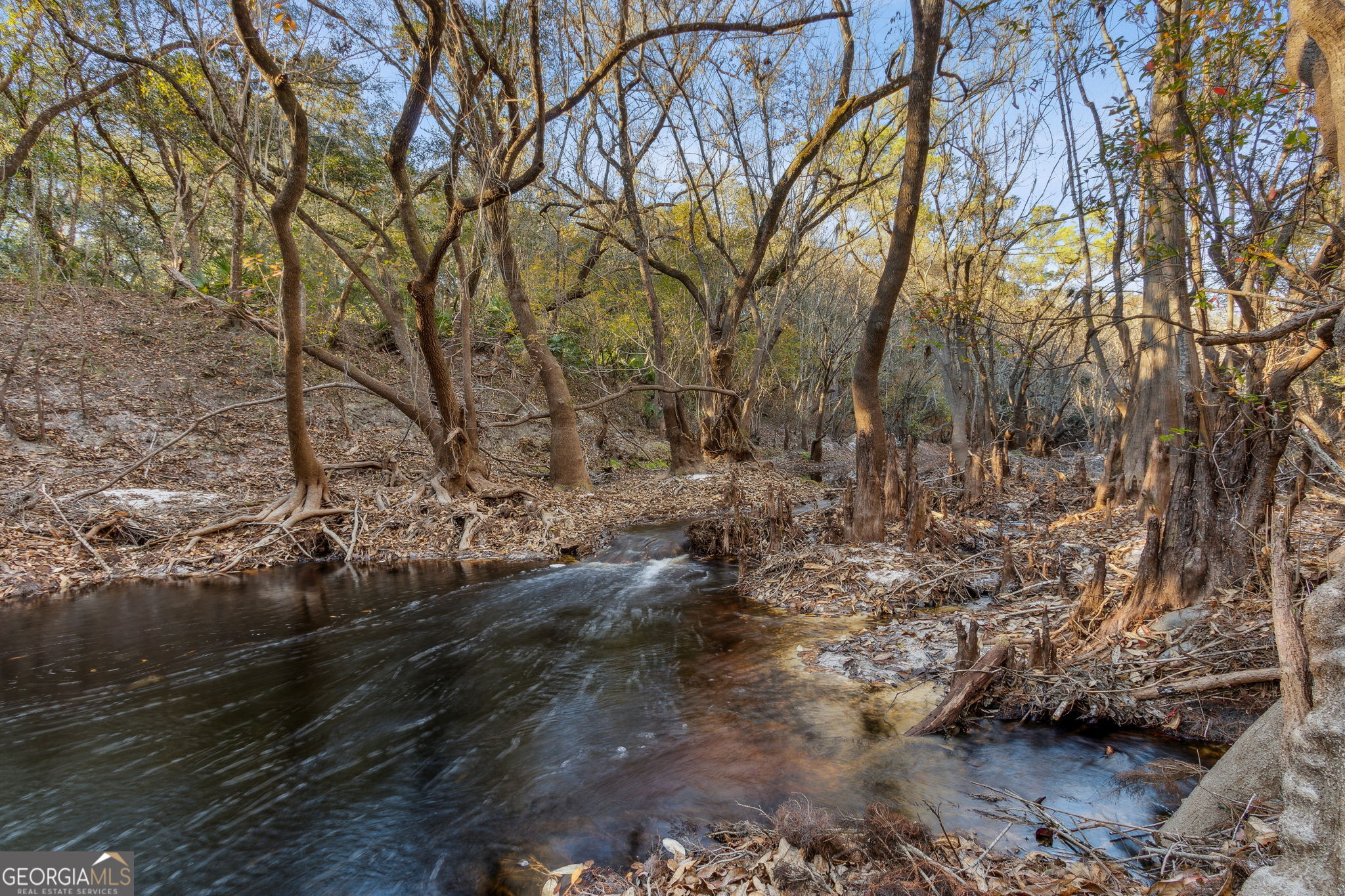 0 State Road 185 St. George, GA 31562 - Photo 14 of 62