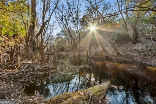 $425,000 | 0 State Road 185, St. George, GA 31562